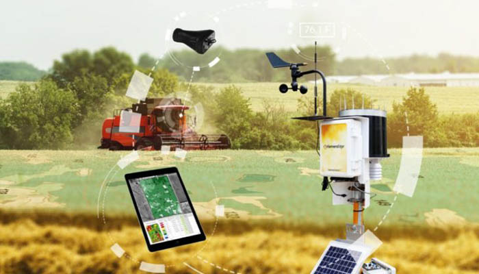 ایده‌هایی برای استفاده از دیجیتال مارکتینگ در کشاورزی