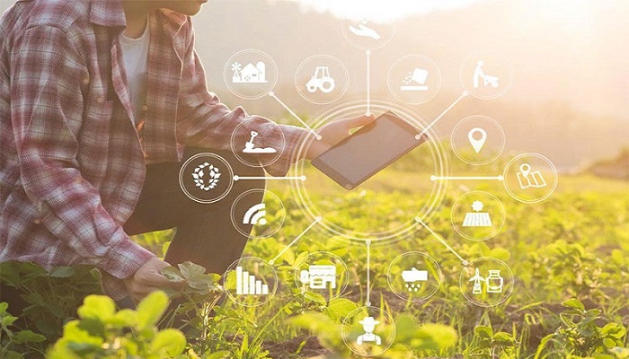 تکنولوژی در مزارع هوشمند